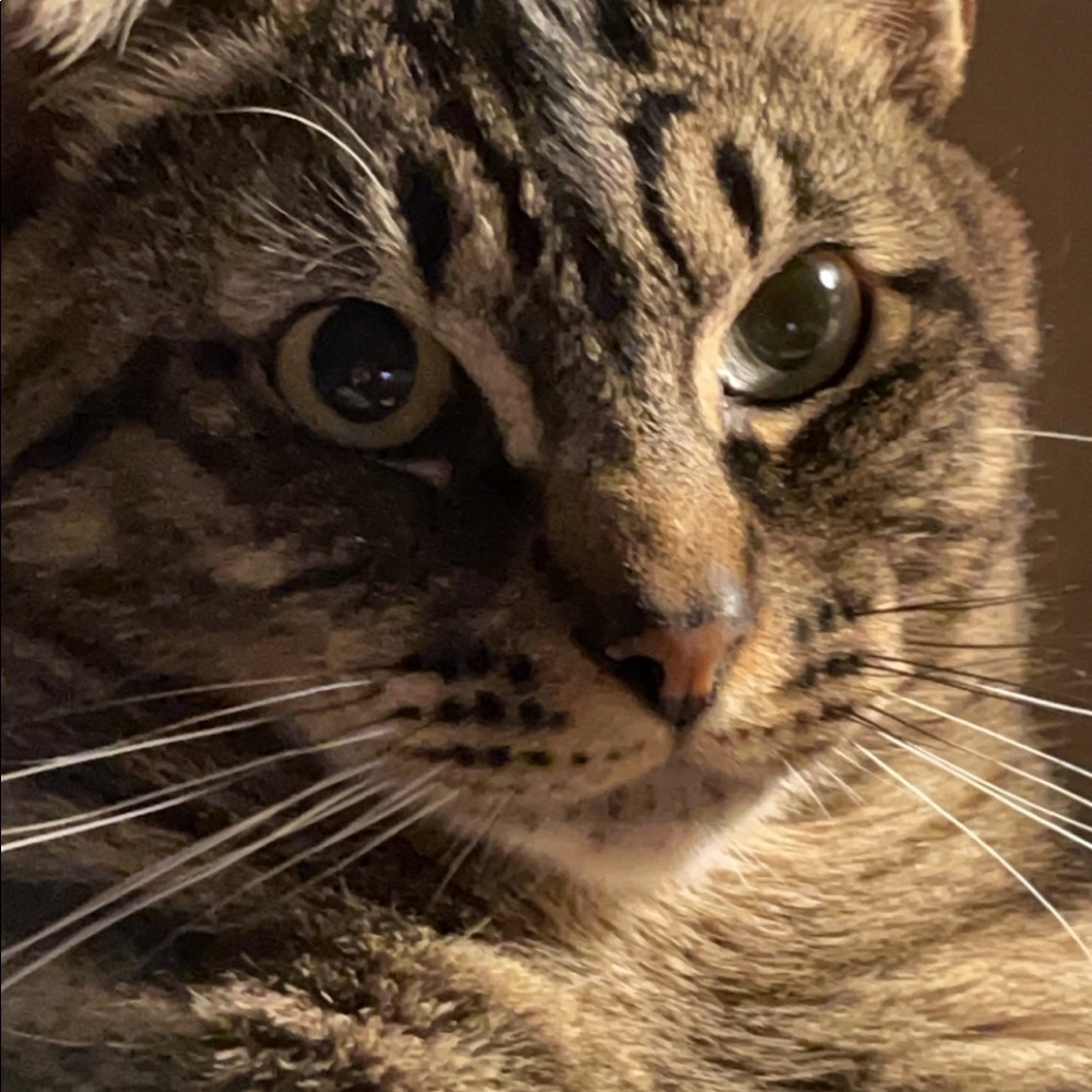 Meet your Posher, Parkerann